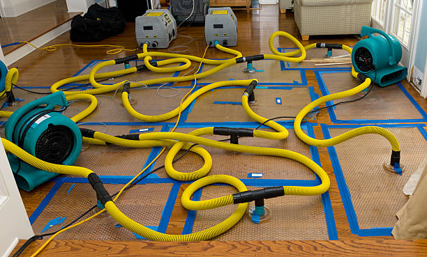 Professional Crawl Space Water Removal technician working in Valparaiso, NE